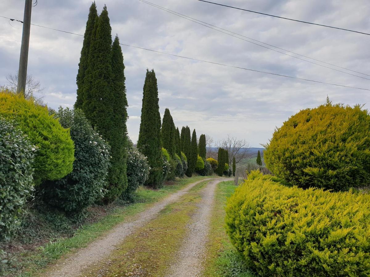 La Ferme De Jeanne Bed & Breakfast Saint-Girons  Dış mekan fotoğraf