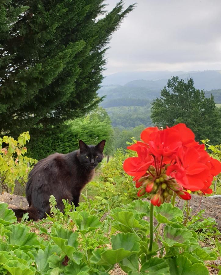 La Ferme De Jeanne Bed & Breakfast Saint-Girons  Dış mekan fotoğraf
