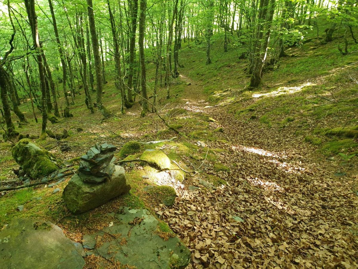 La Ferme De Jeanne Bed & Breakfast Saint-Girons  Dış mekan fotoğraf